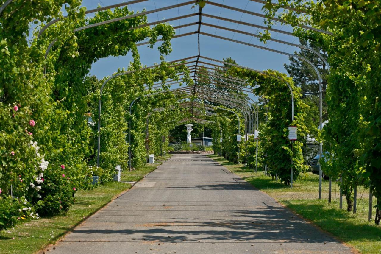 Knaus Campingpark Bad Dürkheim Екстериор снимка